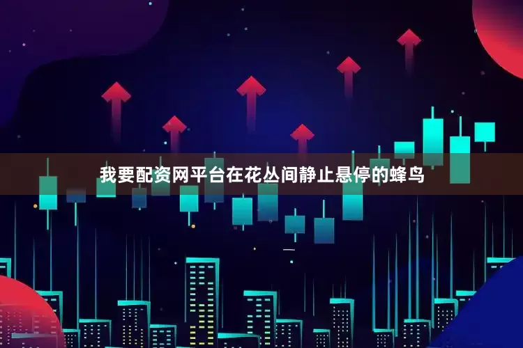 我要配资网平台在花丛间静止悬停的蜂鸟