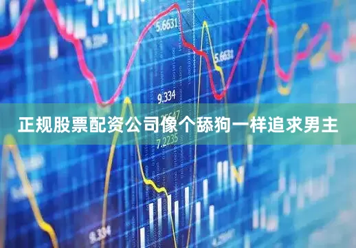 正规股票配资公司像个舔狗一样追求男主