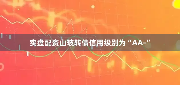实盘配资山玻转债信用级别为“AA-”