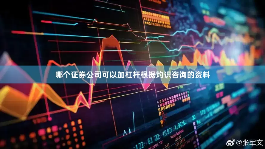 哪个证券公司可以加杠杆　　根据灼识咨询的资料