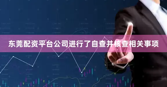东莞配资平台公司进行了自查并核查相关事项
