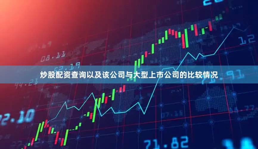 炒股配资查询以及该公司与大型上市公司的比较情况