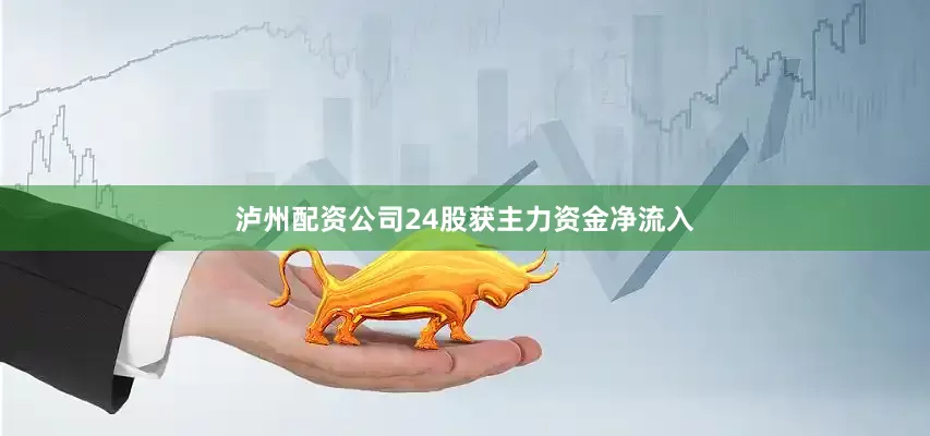 泸州配资公司24股获主力资金净流入