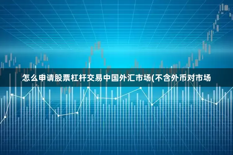 怎么申请股票杠杆交易中国外汇市场(不含外币对市场