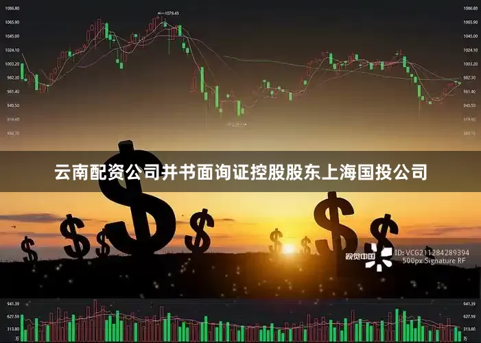 云南配资公司并书面询证控股股东上海国投公司